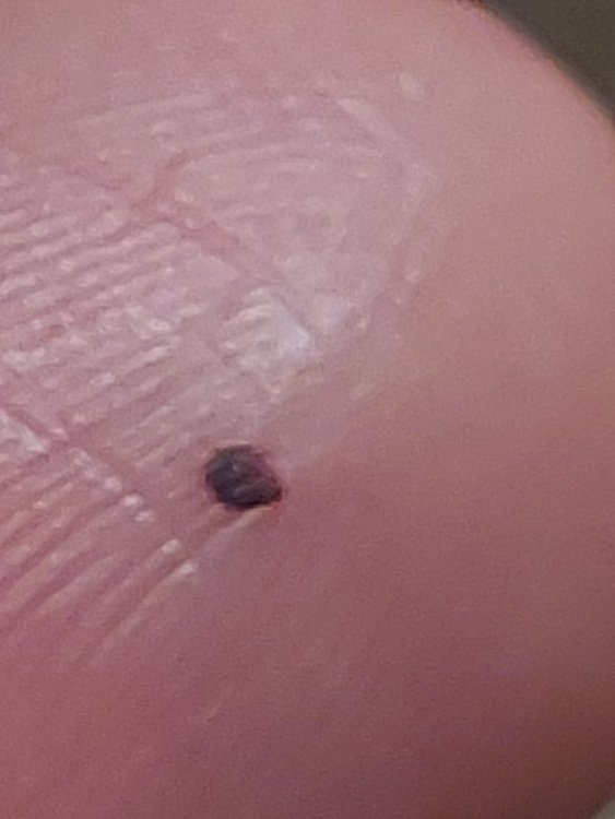 20220113_070848.jpg