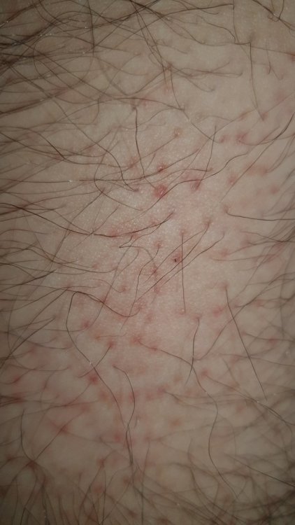 20220118_151222.thumb.jpg.a8d7997de0be01c348a2ab7fceee9baa.jpg