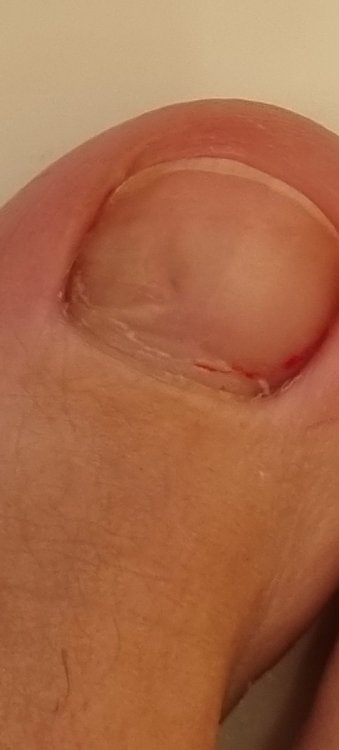 20220120_093621.jpg