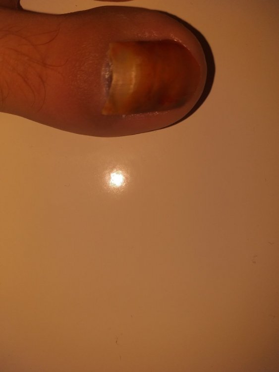 20220123_183904.thumb.jpg.938f8a84ffc399e1d1ec288ec9861987.jpg