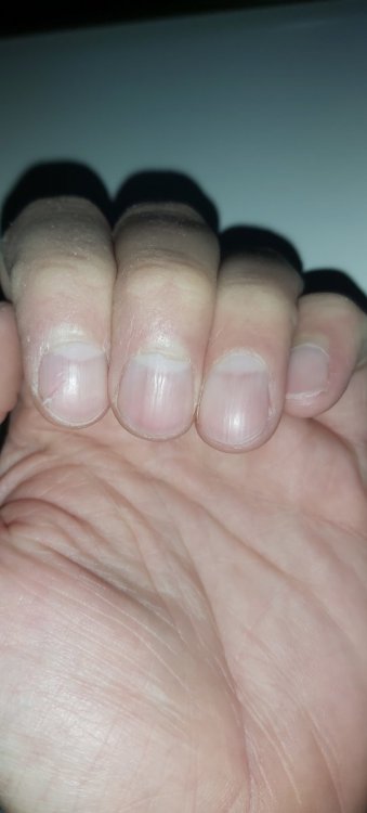 20220131_095913.jpg