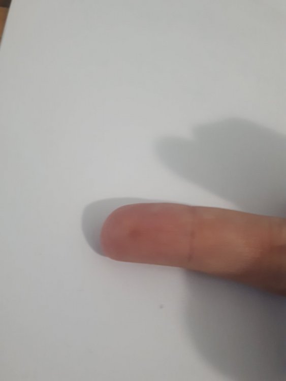 20220131_142402.jpg