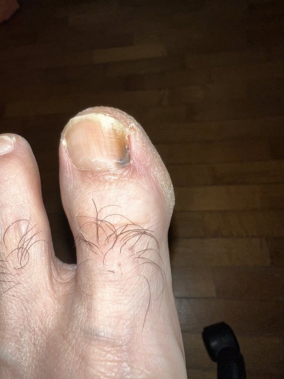 FOTO 1 - CON FLASH.JPG