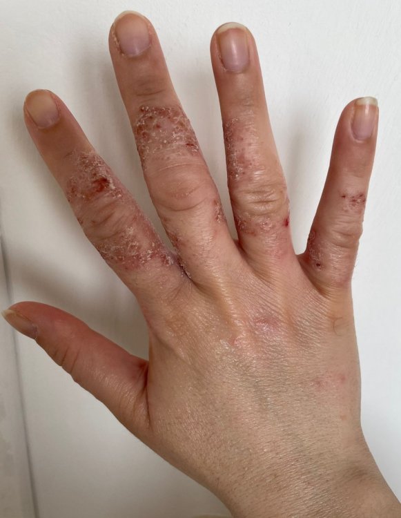 WhatsApp Image 2022-01-06 at 11.45.48.jpeg