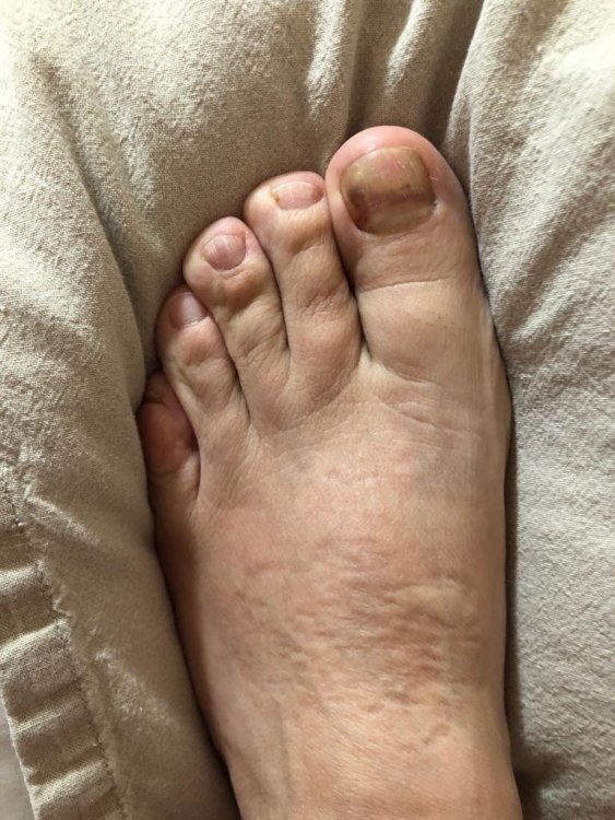 FOTO 1.JPG