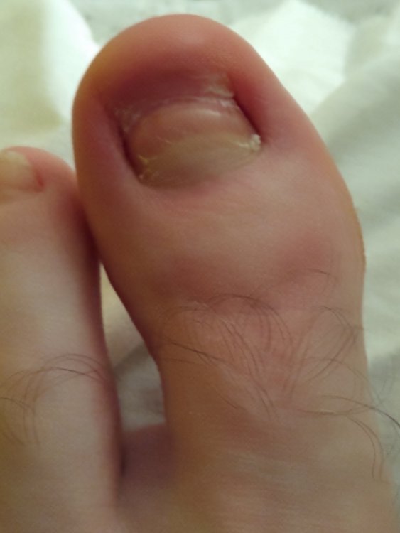 IMG_20220109_215533727.jpg