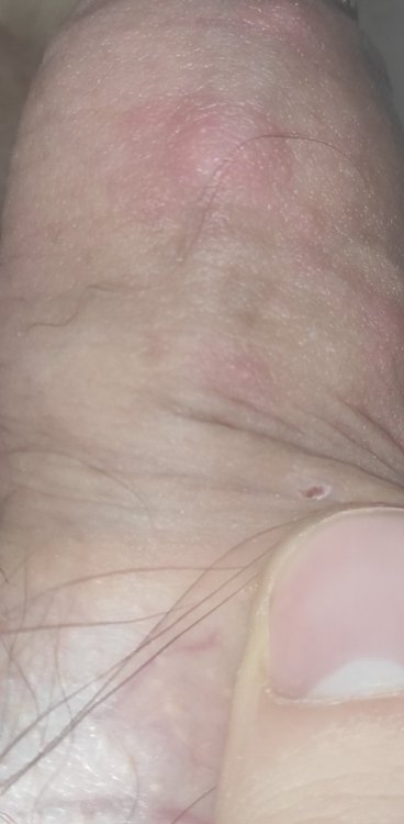 IMG_20220122_115529.jpg