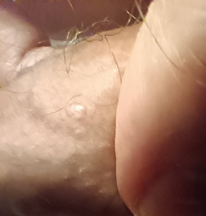 IMG_20220123_140233.jpg