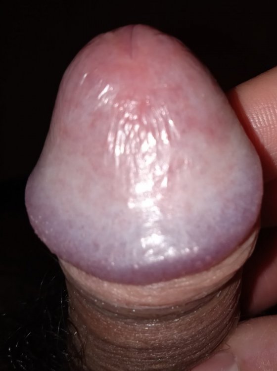 IMG_20220124_113628.jpg