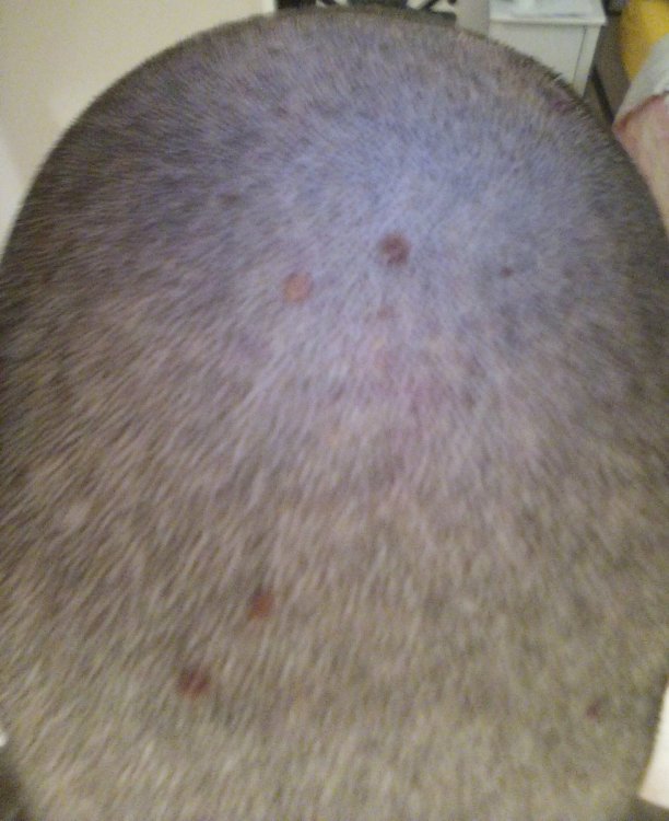 Lumii_20220119_194857623.jpg