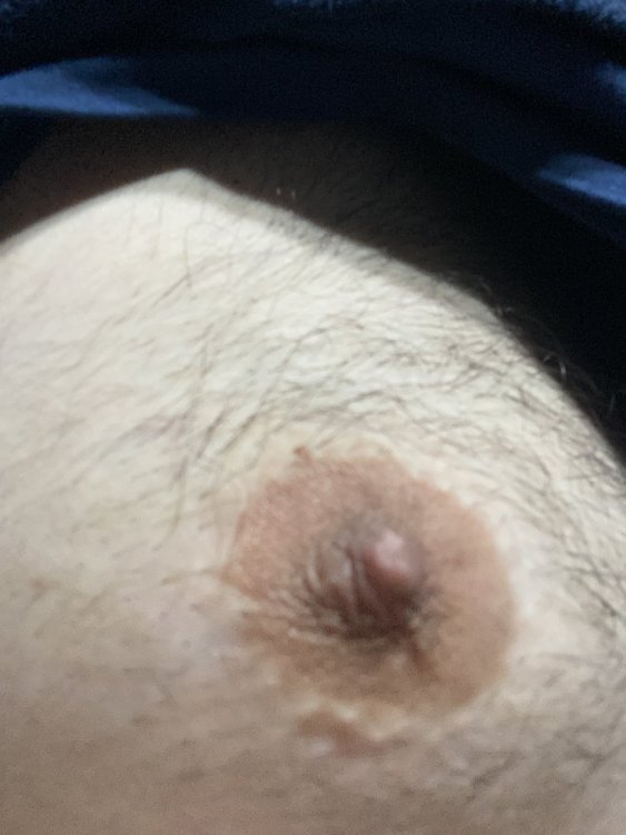 image.thumb.jpg.22e98cfdb0db7ea3821fbded0133f9ef.jpg