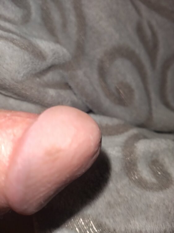 16452261116667209453550621314021.thumb.jpg.c4fbc3736d279303fa508e4a939ac759.jpg