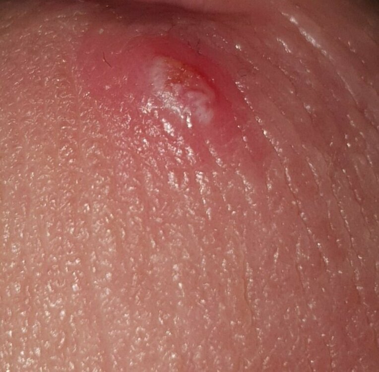 20220216_015946.jpg