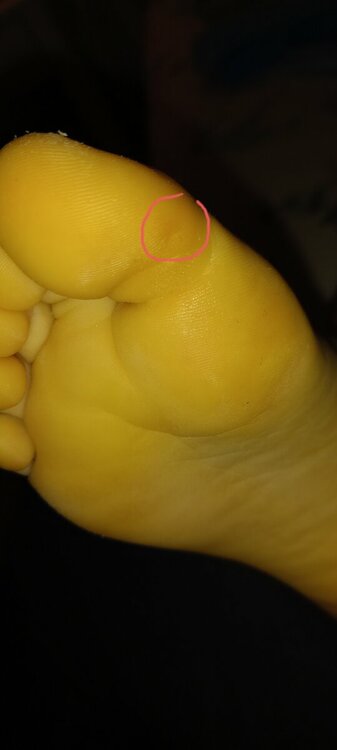 20220221_214050.jpg