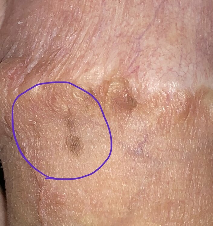 AA68D4DF-B73D-46F7-8EC4-B04B32CF0E6B.jpeg