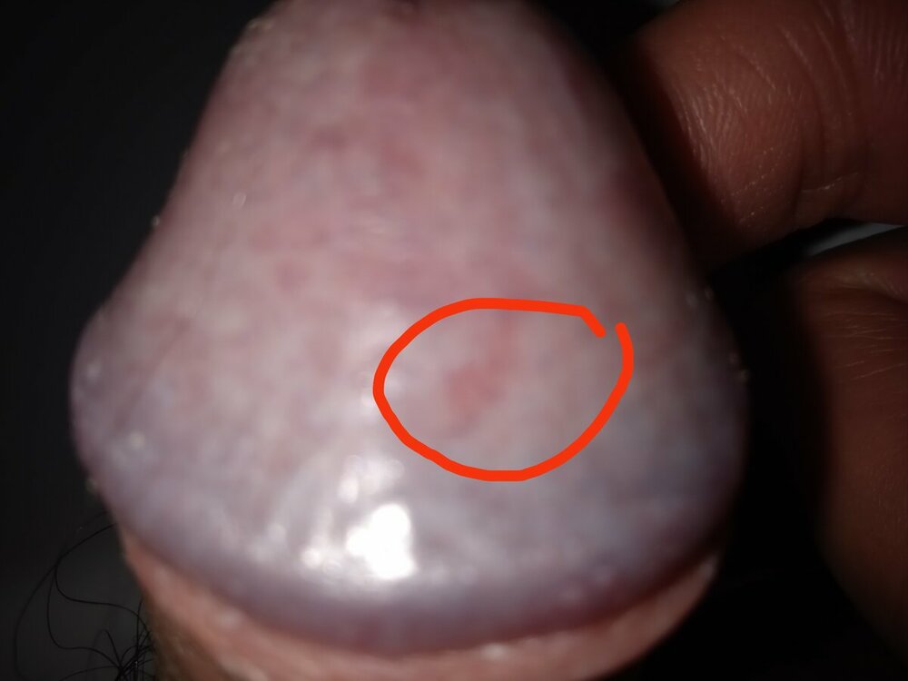 IMG_20220216_225525.jpg