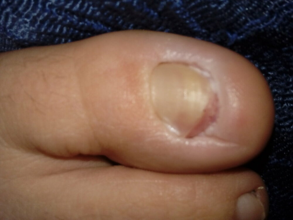 1648019962957-1614873522.jpg