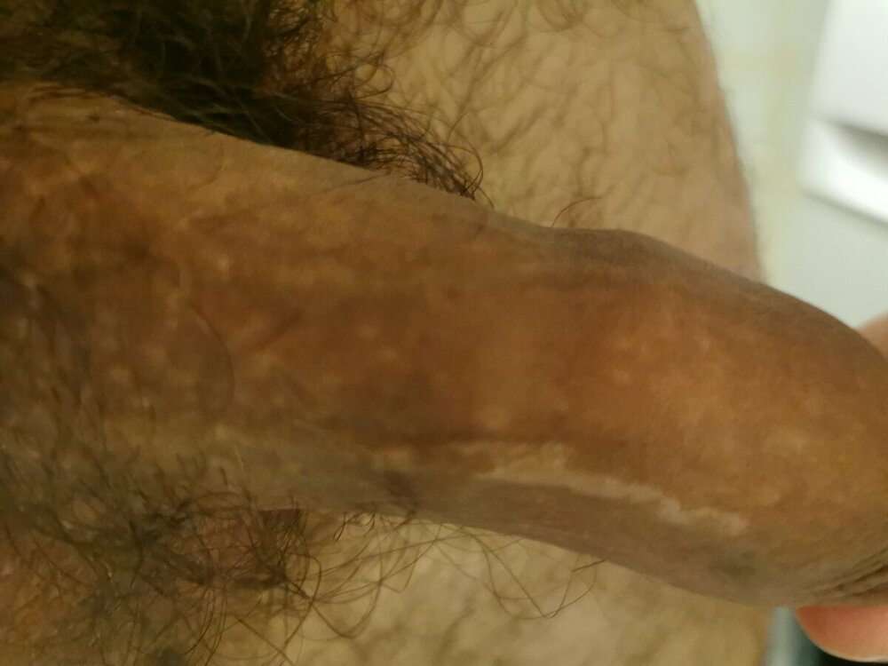 16486767683339210547706447372766.thumb.jpg.c18daf8c8ec36f4763b1351a1cdcfe2c.jpg