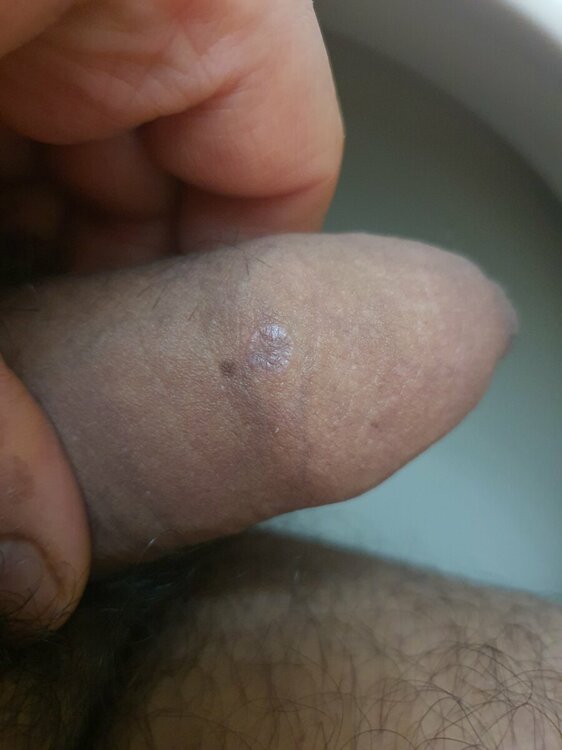 20220304_070441.jpg