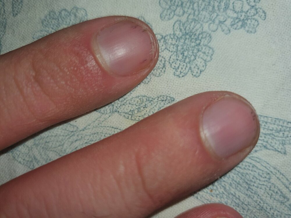20220320_205711.thumb.jpg.e9d692bd02e5f25dec70185f9b5c6ef7.jpg