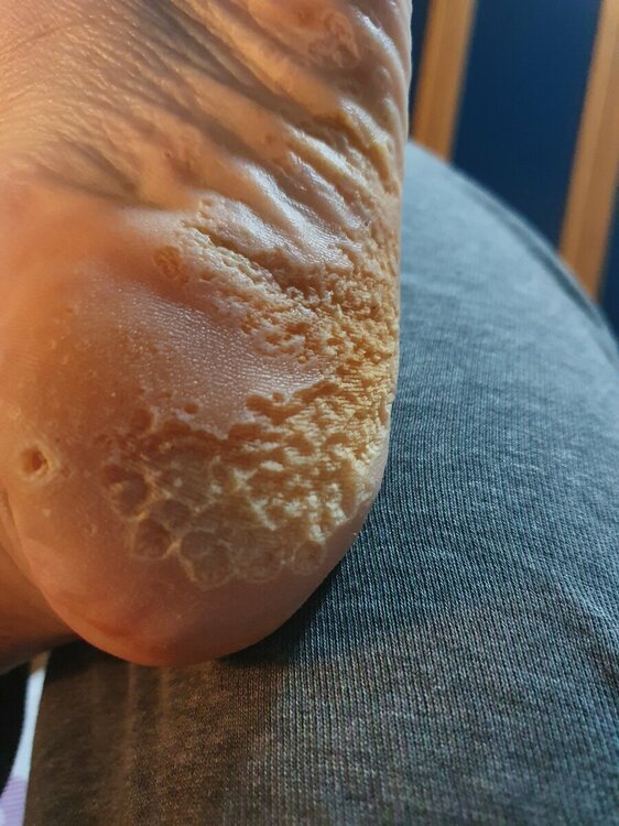 20220322_202704.jpg