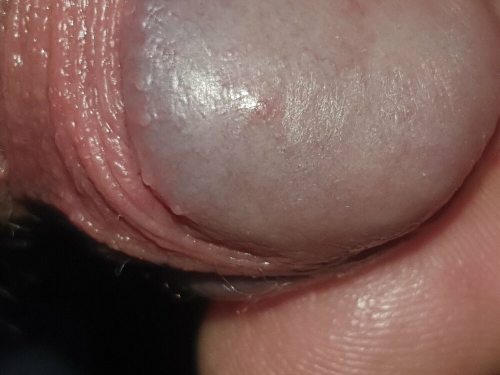 20220329_120537.jpg