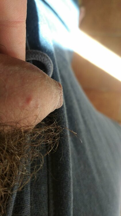 WhatsApp Image 2022-04-18 at 15.02.45.jpeg