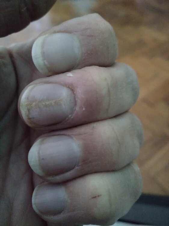 16511463141094333940925899440482.thumb.jpg.a6108db9af202267fc6c93781f035add.jpg