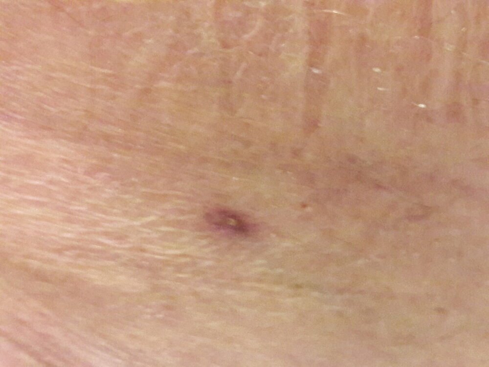 20220404_192803.jpg