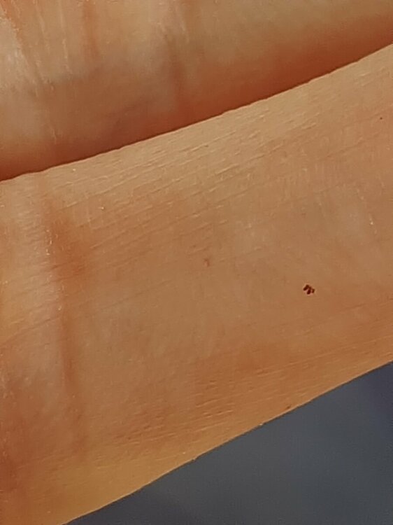 20220407_114756.jpg