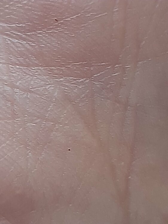 20220407_114849.jpg