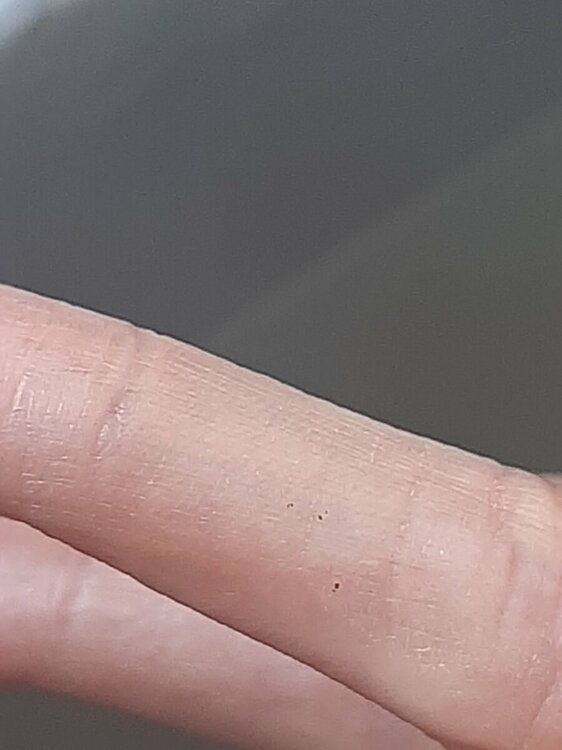 20220407_114917.jpg