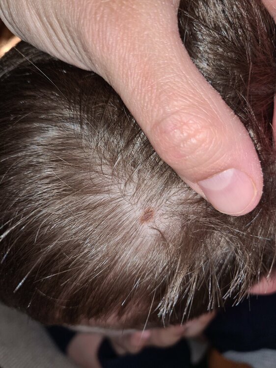 20220418_213545.thumb.jpg.6256032ba960f144ff87077283067795.jpg