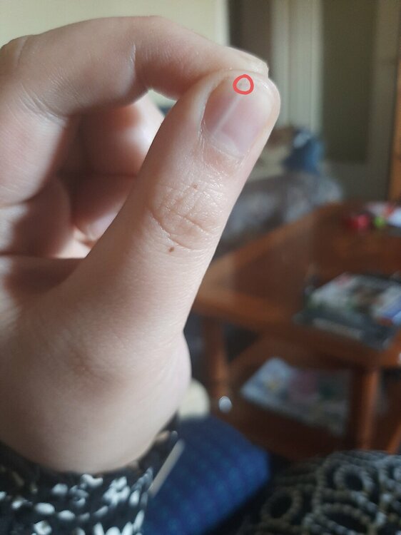 20220419_111413.thumb.jpg.3d1a8e1b459b5fc31ee4aba841f57dca.jpg
