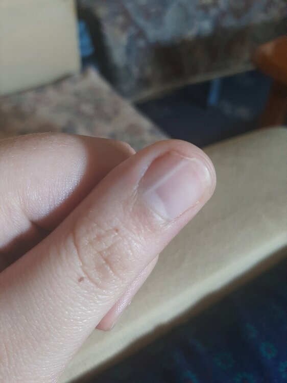 20220419_112528.thumb.jpg.01e8a645dfd99fd21943b58929b8fdde.jpg