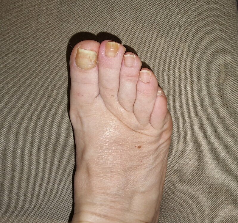 20220427_191115.jpg