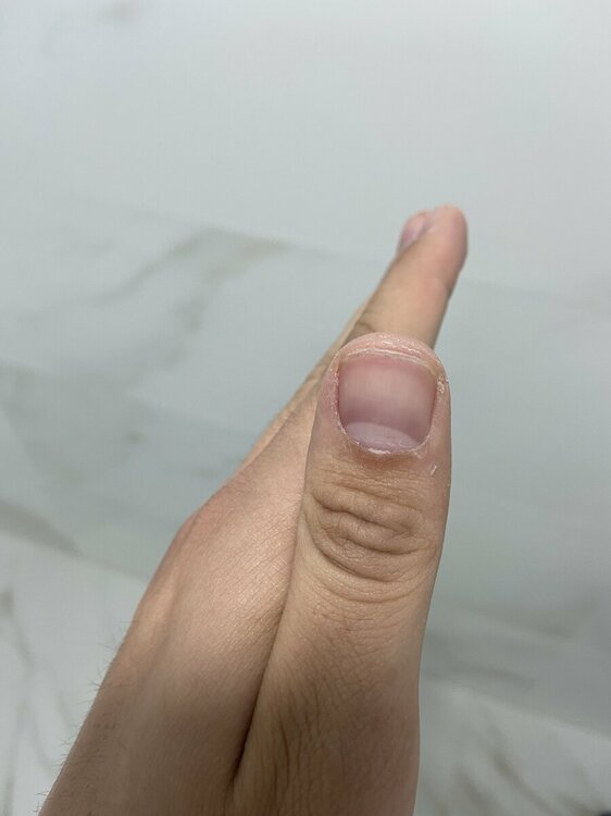 5FAE754B-9C47-4439-85E3-DB6268A50AFF.jpeg