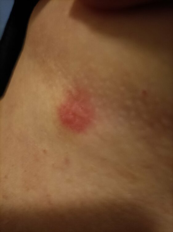 IMG20220421194201.jpg