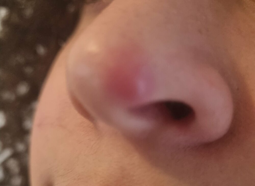 20220412_073727.jpg