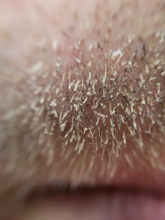 20220418_103044.jpg