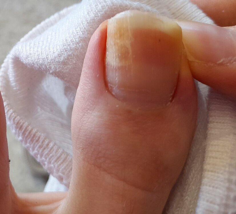 20220519_143554.thumb.jpg.9bc96779bb5ef7310a5297698f332e10.jpg