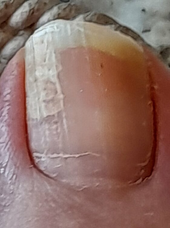20220519_161435.thumb.jpg.ede903aa946861866d0856ecdbde9326.jpg