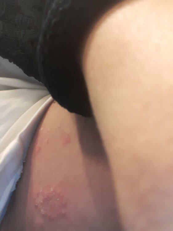 20220524_110332.thumb.jpg.49e05ade7fe5c24b8289573c4cfdd02c.jpg
