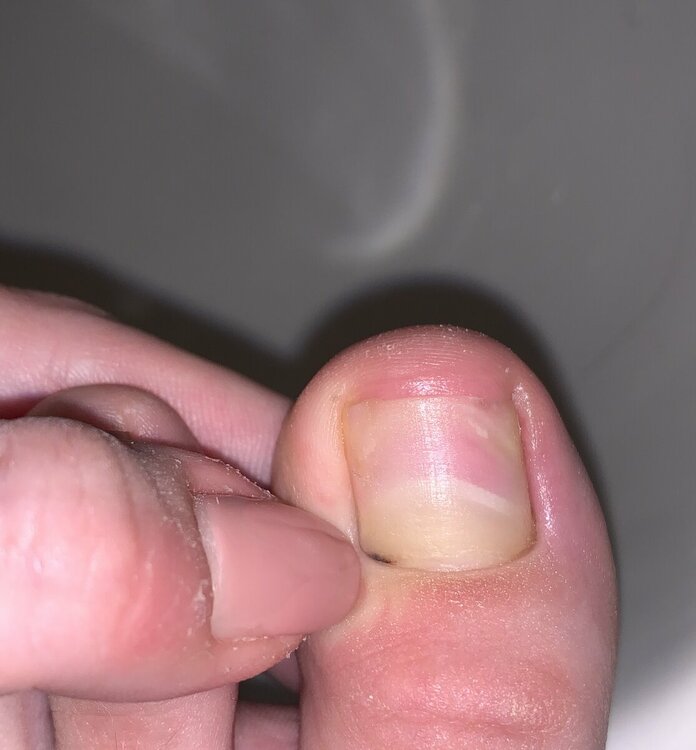 57475213-68B9-4E85-B441-E1D51B8EE261.thumb.jpeg.27e3c83b6808a889e420ef9aa7db72bc.jpeg