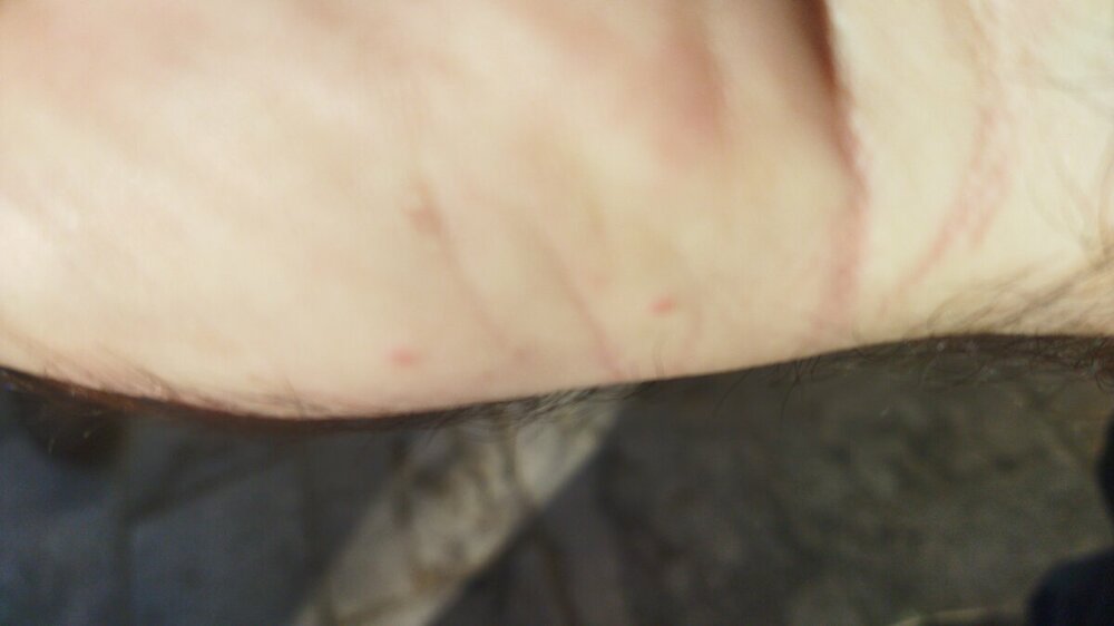 IMG-20220517-WA0020.jpeg