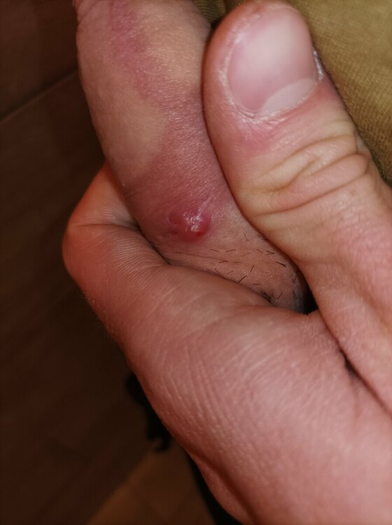 IMG_20220517_203326.thumb.jpg.69ca0f4ae639a33c403bb62af3d983a8.jpg