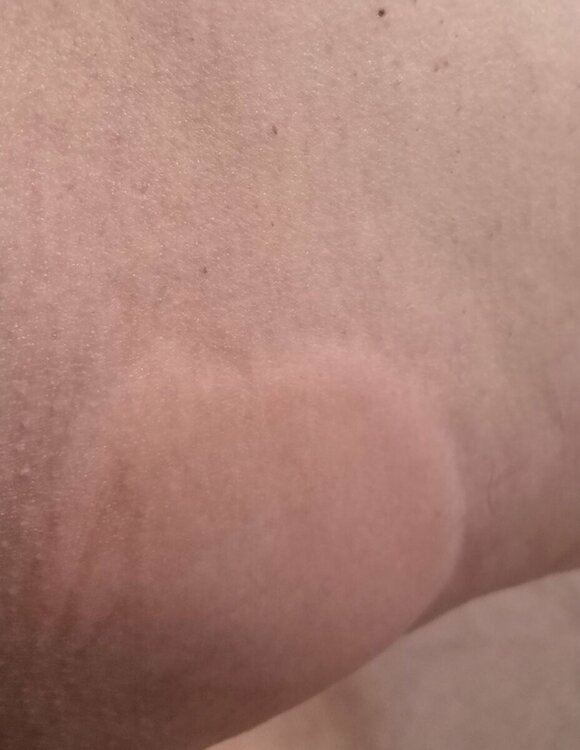 IMG_20220519_090400.jpg