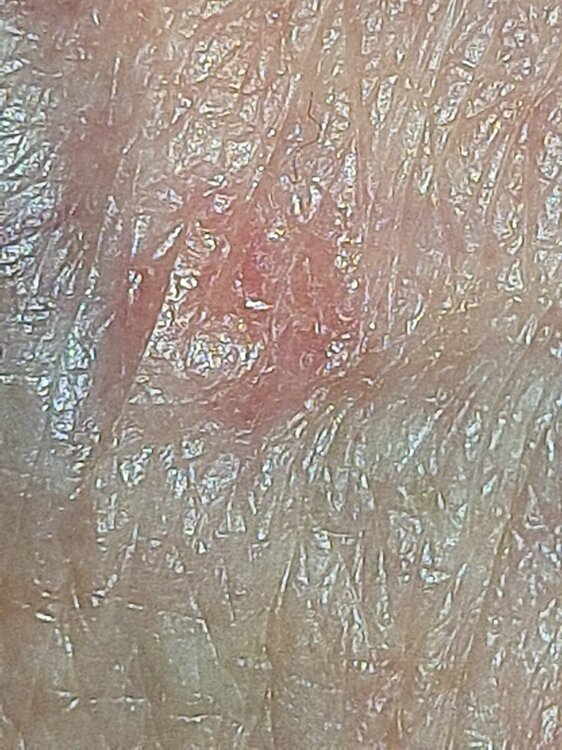 mir_20220505_212027.jpg