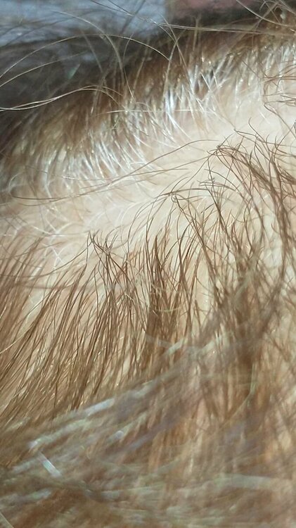 2022-6-28 18-12-55.jpg