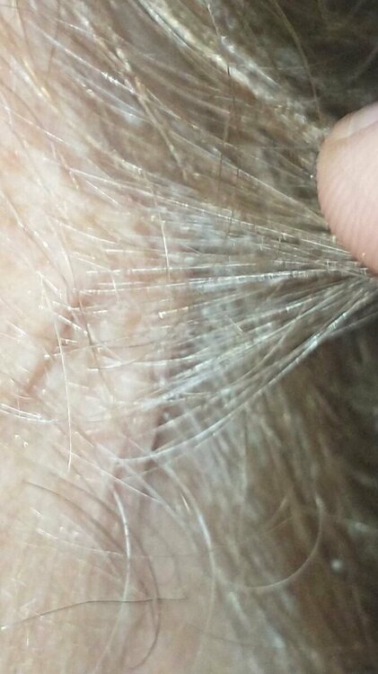 2022-6-28 18-9-57.jpg